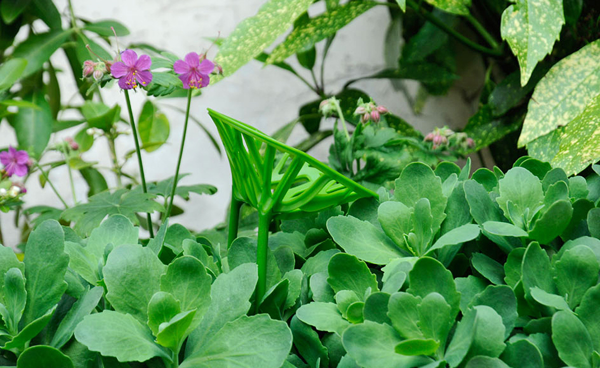 创意家具 - 坐具|餐椅|办公家具|球友会（中国）家具|植物餐椅